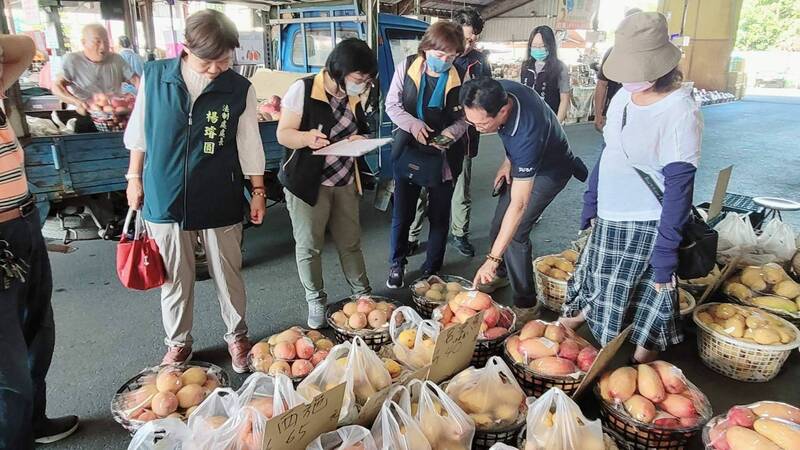台南市府法制處稽查了解芒果分類與標示情形。(圖由台南市府提供) 台南市府法制處稽查了解芒果分類與標示情形。(圖由台南市府提供)