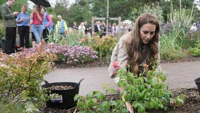 凱特王妃在醫院的療癒花園中，親手協助種植以她名字命名的「凱特琳玫瑰」。此活動旨在為她曾接受治療的癌症醫院所屬慈善機構募款。（路透）