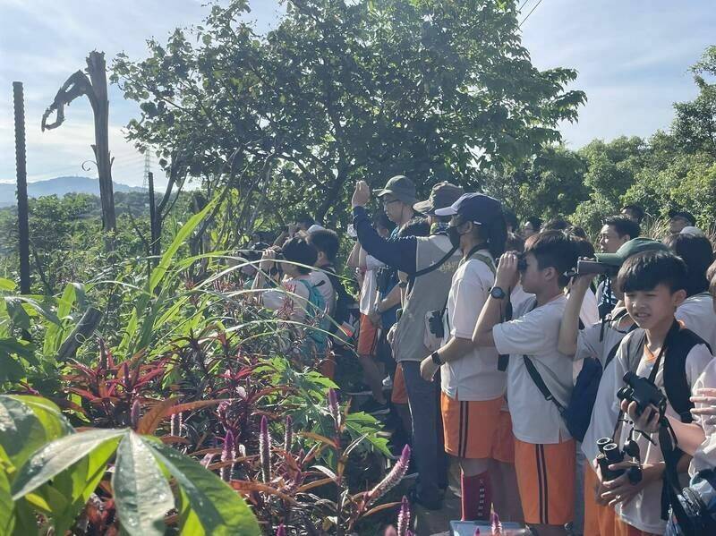 會稽國中通過台美生態學校認證,成為桃園第1所「國中級」生態學校,將赤腹鷹融入校訂課程。(圖由會稽國中提供) 會稽國中通過台美生態學校認證,成為桃園第1所「國中級」生態學校,將赤腹鷹融入校訂課程。(圖由會稽國中提供)