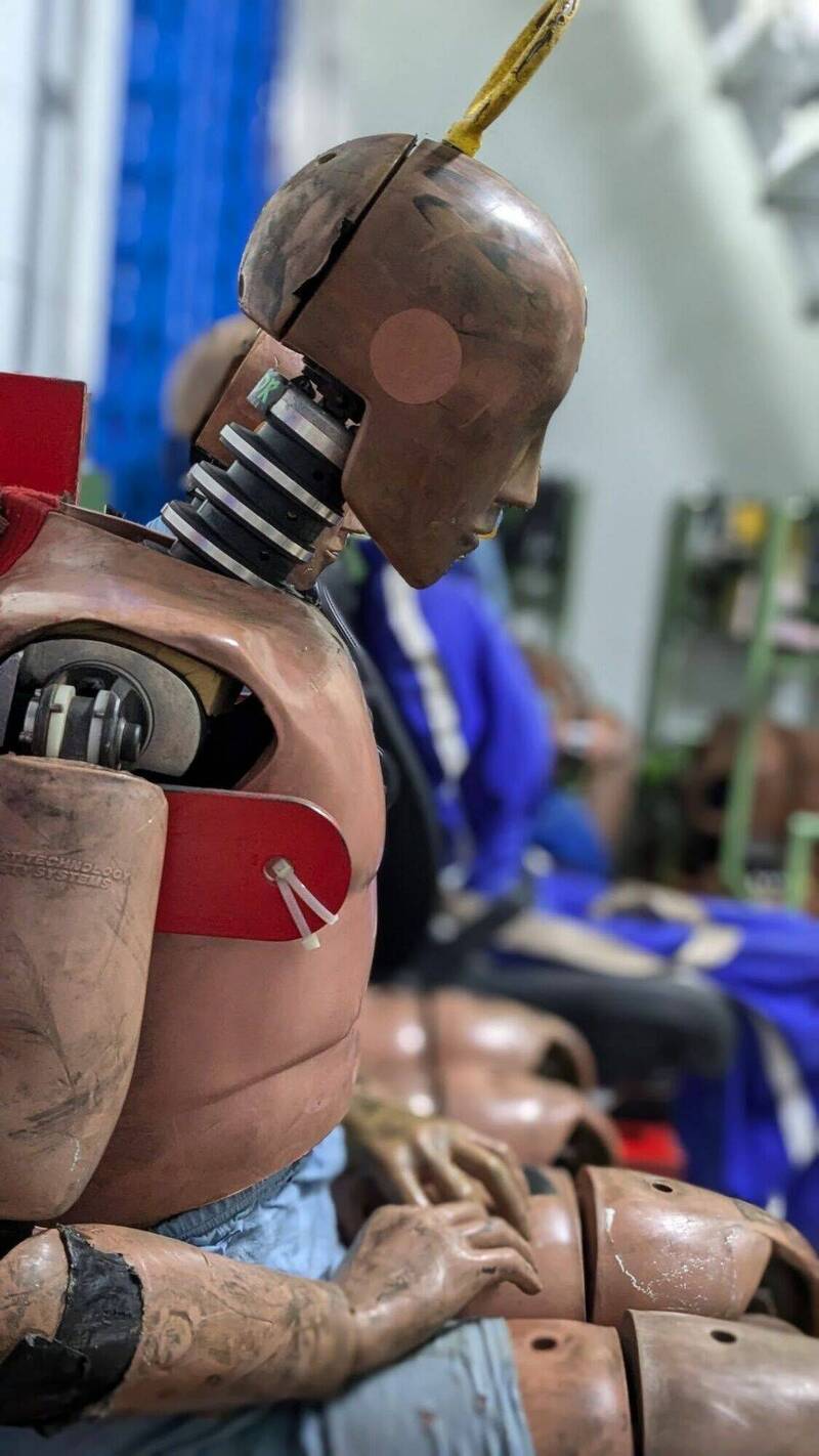 車輛中心的碰撞人偶,連皮膚都仿真人皮膚的厚度與彈性。(車輛研究測試中心提供) 車輛中心的碰撞人偶,連皮膚都仿真人皮膚的厚度與彈性。(車輛研究測試中心提供)