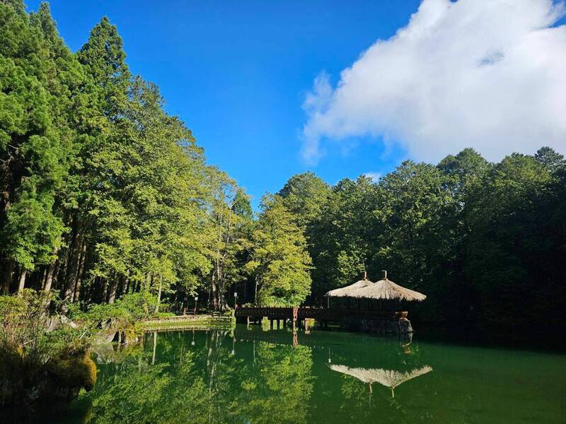 阿里山國家森林遊樂區是熱門景點。(林業署嘉義分署提供) 阿里山國家森林遊樂區是熱門景點。(林業署嘉義分署提供)