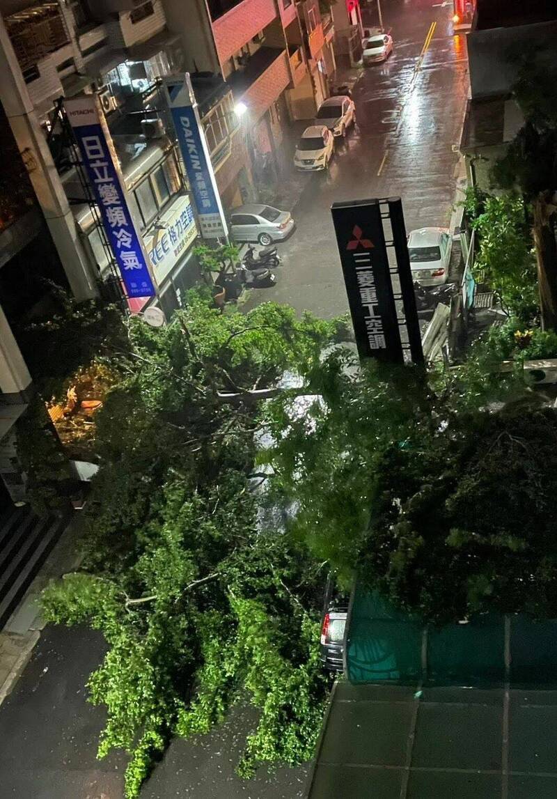 丹娜絲颱風帶來強風豪雨,台南市區不少路樹傾倒。(取自網路社群) 丹娜絲颱風帶來強風豪雨,台南市區不少路樹傾倒。(取自網路社群)