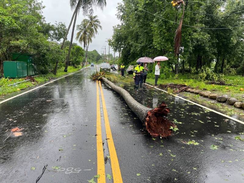 台南市楠西区一对父子台风过后载运水果欲至市场销售，撞上路上倒塌的树木，1死1伤。（读者提供）