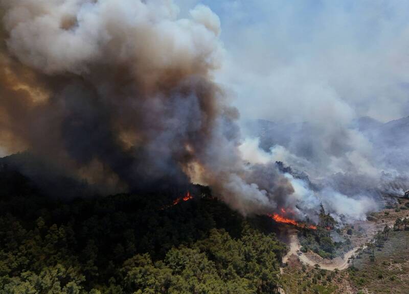 敘利亞西北部省分拉塔基亞連日野火肆虐，已有近萬公頃林地付之一炬。（路透社）