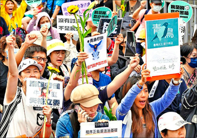 民團號召青鳥明回防立院 籲藍白停審爭議法案