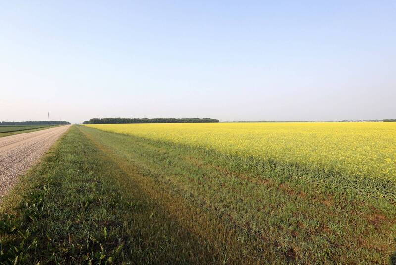 加拿大馬尼托巴省（Manitoba）南部於當地時間週二（7月9日）上午發生一起空中飛機相撞事故，造成兩名學生飛行員罹難。圖為馬尼托巴省。（彭博）
