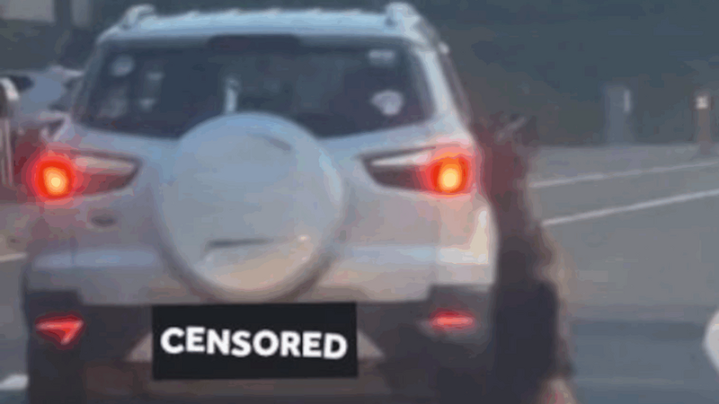 開車當街拖行牧羊犬致死！ 惡飼主家遭縱火噴漆報復