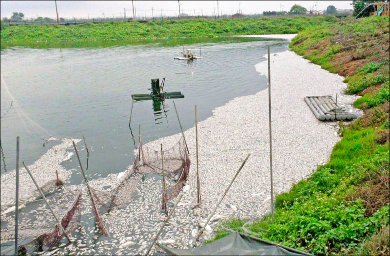 南市養殖魚塭受創嚴重，納入農業部新一波天災現金救助與低利貸款對象。（南市農業局提供）