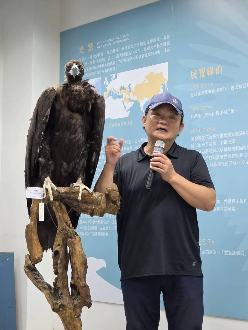 農業部生物多樣性研究所高海拔研究中心主任姚正得,現場也解說標本製作的技術、還有禿鷲在台灣的小故事。(記者花孟璟攝) 農業部生物多樣性研究所高海拔研究中心主任姚正得,現場也解說標本製作的技術、還有禿鷲在台灣的小故事。(記者花孟璟攝)