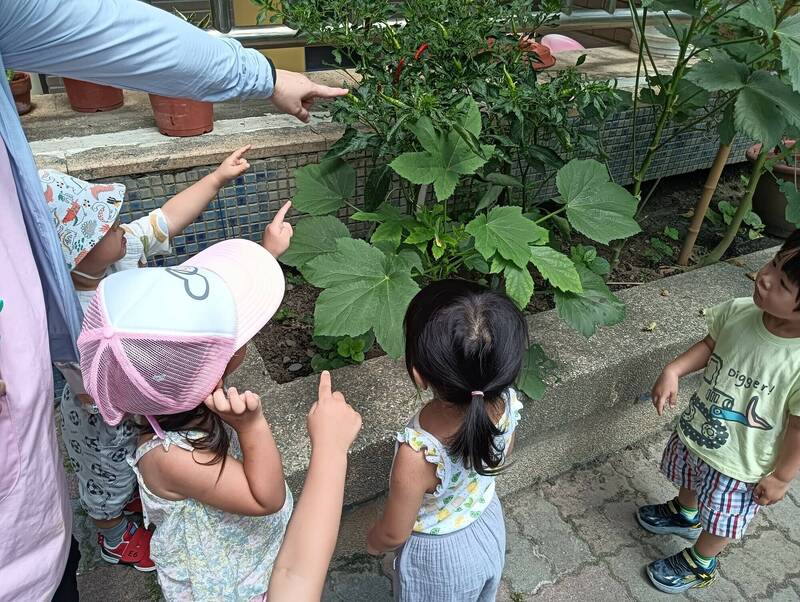 中市北屯家庭中心用空地種蔬果養魚 「成果」分送逾500戶弱勢家庭