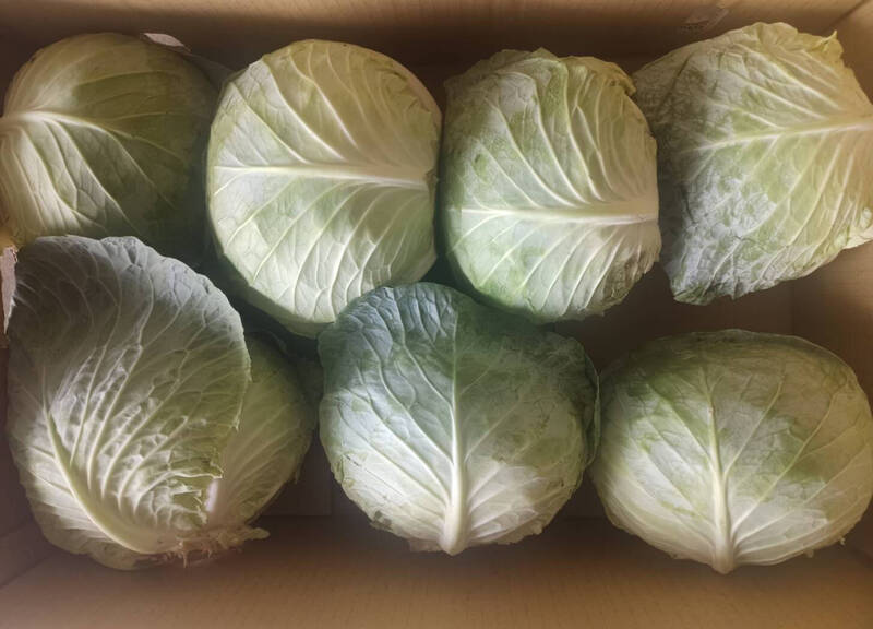 蔬菜批發價每公斤上漲7.2元 北農啟動平價作業