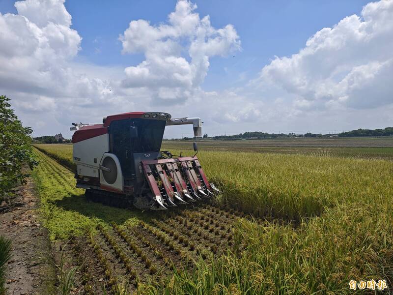 竹塘飄香米挺過風災收割率達99％ 關鍵在「合理化施肥」