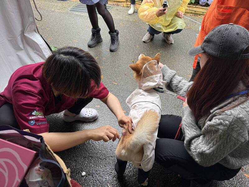 動保處攜手北農推公益蔬果包助浪浪 100劑狂犬病疫苗免費打！