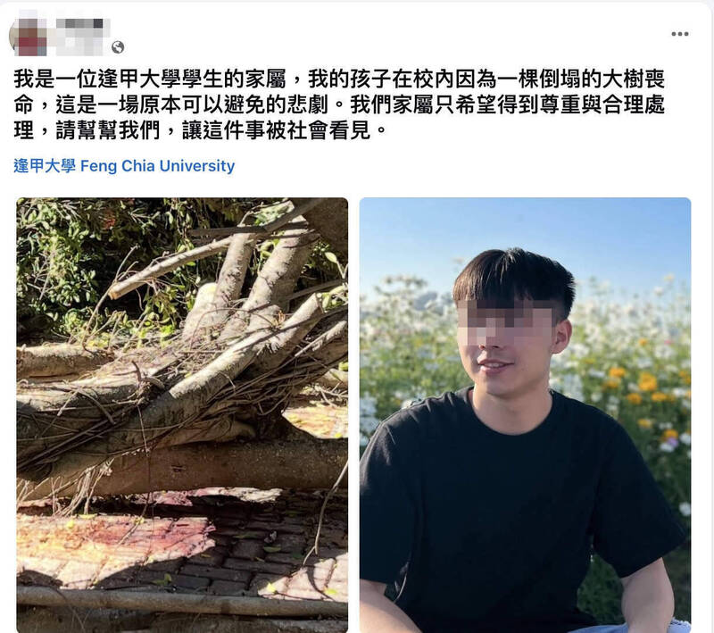 我們真的無法接受！逢甲樹倒壓死碩士生 母親控訴：想用公共意外結案