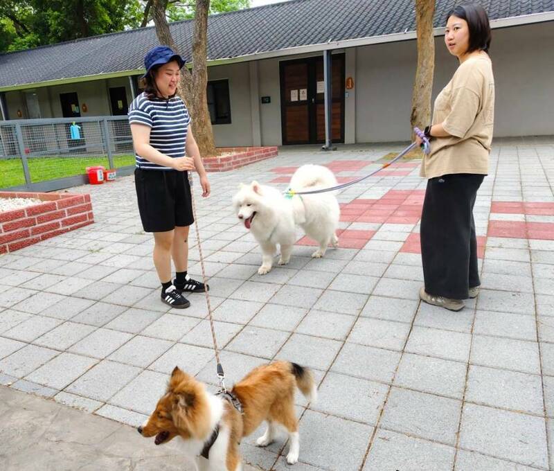 桃園寵物嘉年華7/27登場 狂犬病疫苗施打、免費健檢