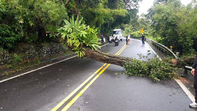 北宜公路一陣暴風雨樹木倒塌  雙向交通中斷預計16:30恢復通行