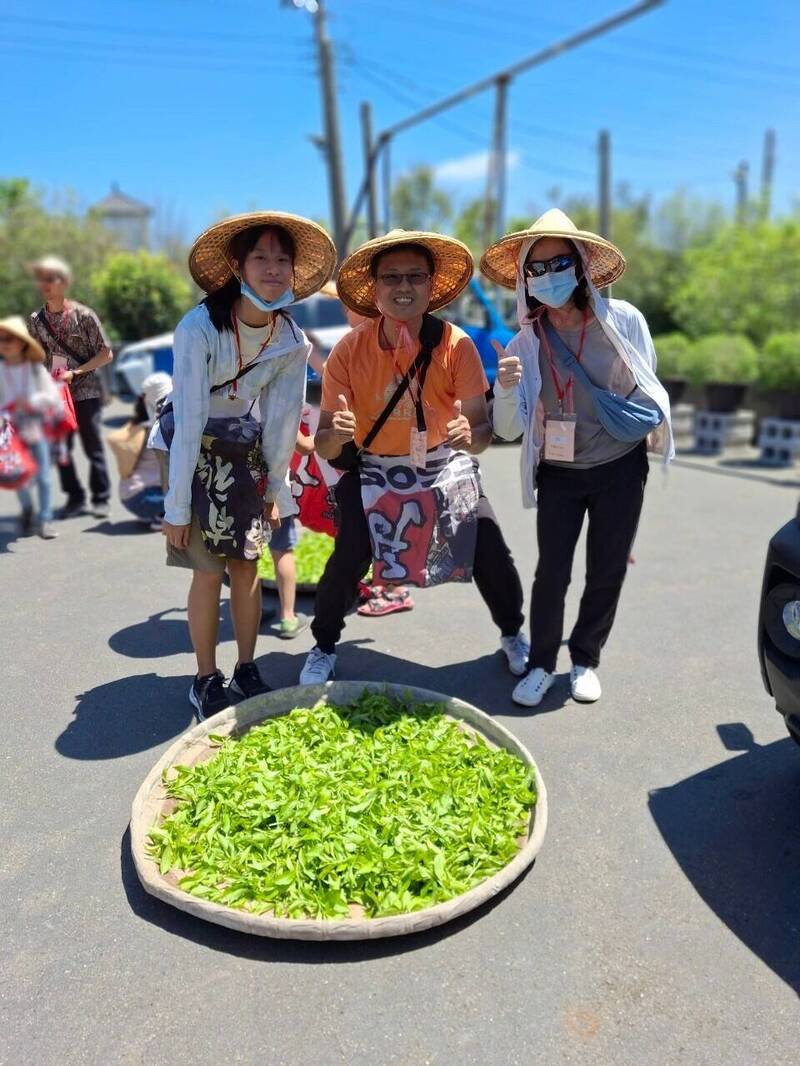 茶SPA體驗放鬆身心 南投松柏嶺茶文化活動報名「加開名額」