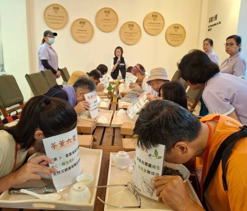 南投松柏嶺茶鄉體驗營，民眾體驗茶薰六覺，放鬆身心。（參山處提供）