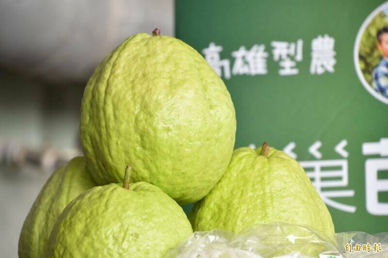 台灣芭樂輸澳最後一哩路！ 估1年內可望外銷澳洲