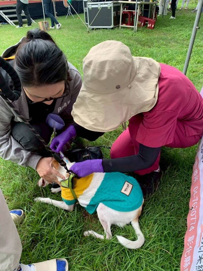 不用400元！彰化犬貓打疫苗+登記一次搞定 飼主搶排隊