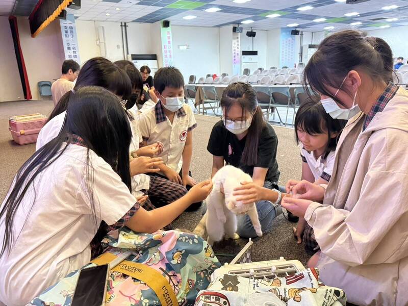 桃市建德國小學生化身小攤主 用愛心蔬果換貓咪「大白」的光明