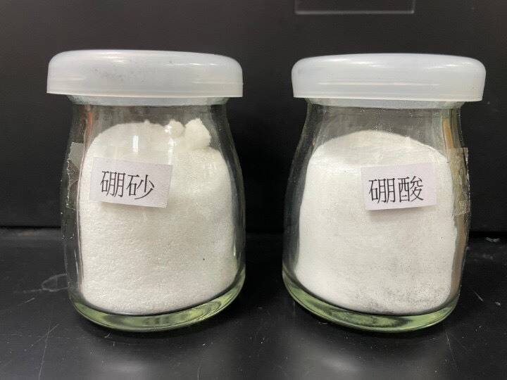 「硼」不可添加在食品中 高雄農改場：精準使用可讓作物頭好壯壯