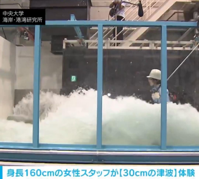 30公分海嘯不可怕？ 日本專家示範「海嘯威力」快速沖走成年人