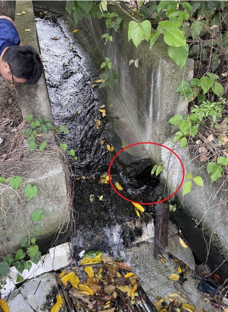 沈發惠國會辦公室發現台鐵公司的鐵道排水道有明確破洞缺口。(圖由沈發惠辦公室提供) 沈發惠國會辦公室發現台鐵公司的鐵道排水道有明確破洞缺口。(圖由沈發惠辦公室提供)