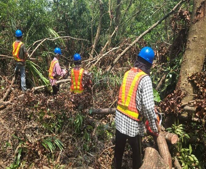 嘉市府觀光新聞處正進行蘭潭後山步道災後復原工作。(嘉市政府提供) 嘉市府觀光新聞處正進行蘭潭後山步道災後復原工作。(嘉市政府提供)