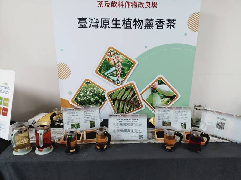 茶改場透過薰香技術,讓台灣原生植物土肉桂、香檸等提煉成純露後入茶。(圖由茶改場提供) 茶改場透過薰香技術,讓台灣原生植物土肉桂、香檸等提煉成純露後入茶。(圖由茶改場提供)