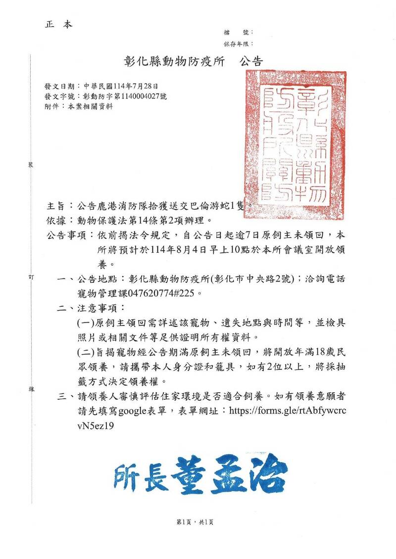 彰化動防所預計於8月4日早上10點開放民眾領養消防隊捕獲的巴倫游蛇。(動防所提供) 彰化動防所預計於8月4日早上10點開放民眾領養消防隊捕獲的巴倫游蛇。(動防所提供)