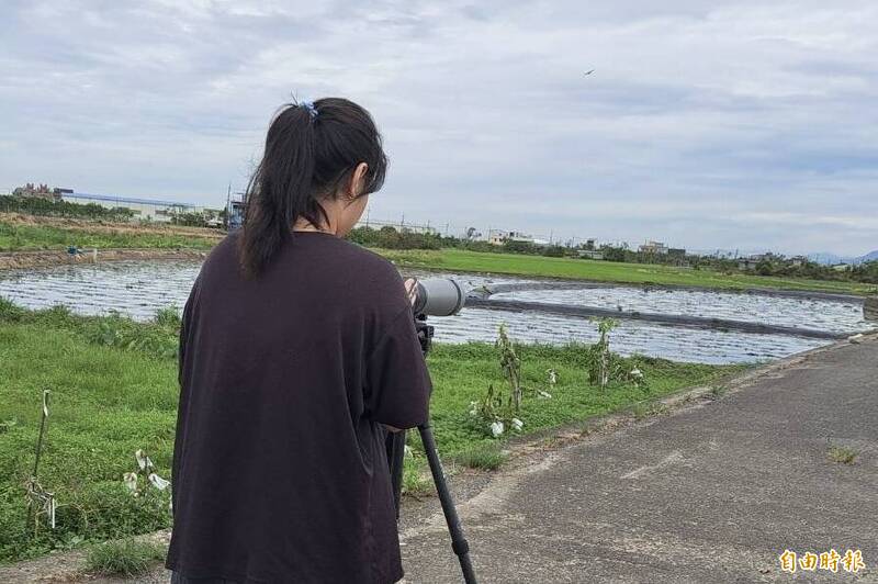 台南市水雉夏季鳥調結果出爐。（記者楊金城攝）