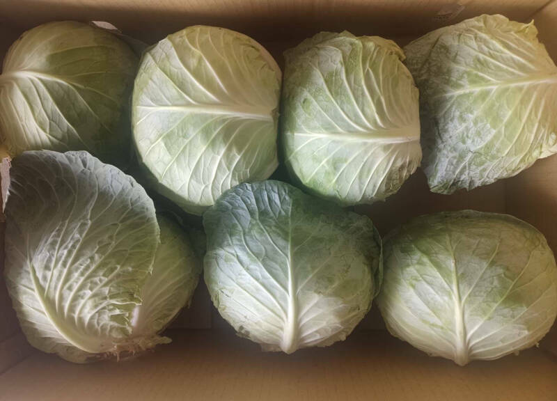 蔬菜批發價漲4元！ 北農估最快8月底價格回穩