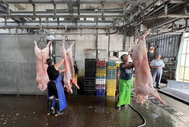 支援原鄉 高市府3天送15隻豬進部落