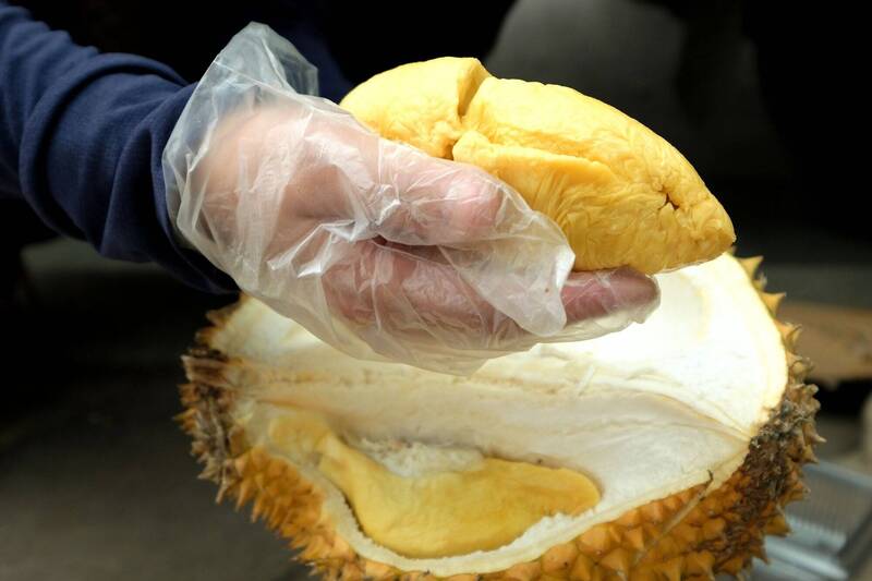 大馬饒舌歌手連吃7個榴槤，隔天上班突然中風，示意圖。（歐新社）