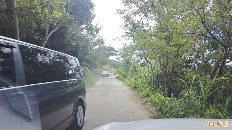 太麻里金針花季今天展開，不少民眾開車上山，但山路狹窄、會車不易。（記者黃明堂攝）