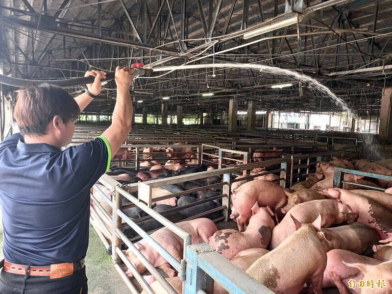 《TAIPEI TIMES》 Yilan pork butchers cut hours amid pig shortage