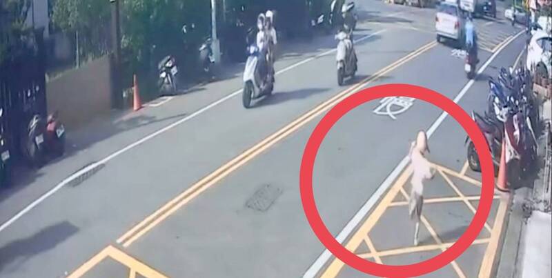 孫不想回家 阿公氣惱騎走 孫追上車後被巴頭