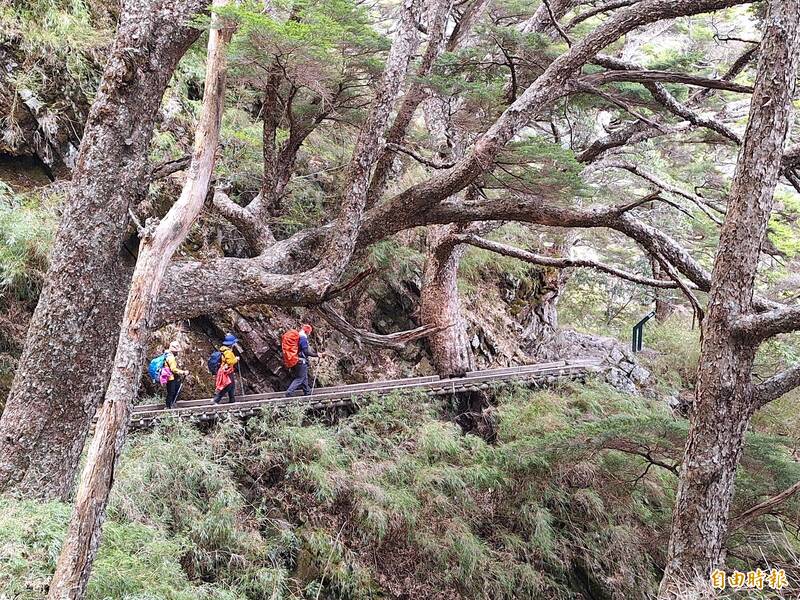 輕颱楊柳逼近 玉管處提醒登山客評估行程避免受困