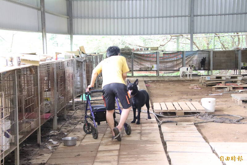 在槍聲、狗屍混雜排泄物臭味中 動保所、愛狗人士救出34隻餓慘的狗狗