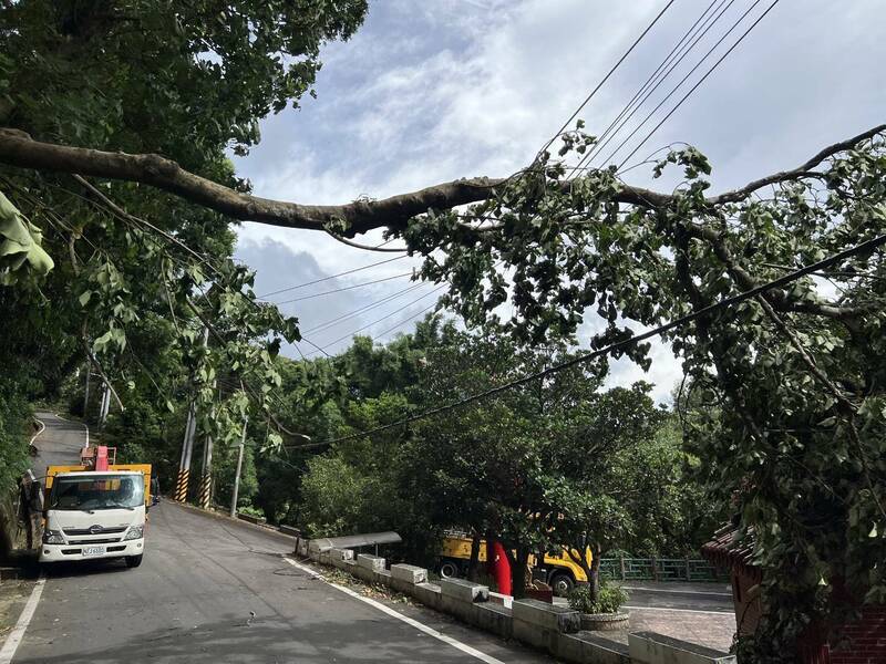 楊柳颱風強陣風吹動樹枝、吹斷電線 桃園一度5.8萬戶停電