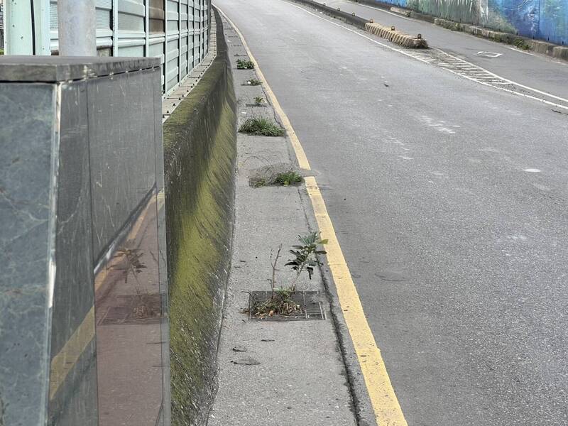 新北永安大橋上橋匝道逢雨必淹 顏蔚慈：泥沙堵死側溝疑20年未清