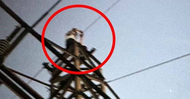 男爬大同山高壓電塔觸電亡 最後身影留在她的手機裡