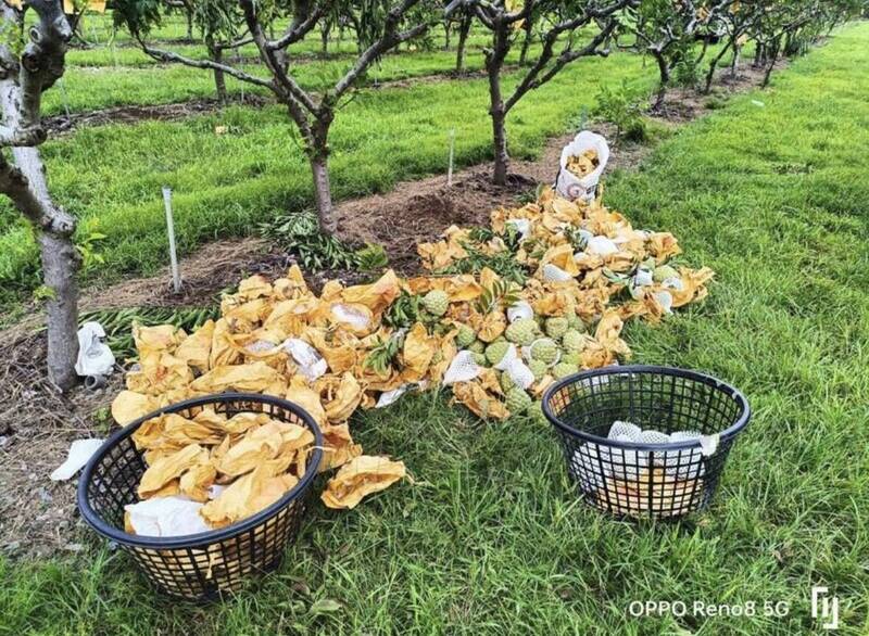 楊柳風災導致全台農損超過4億元。（民眾提供）