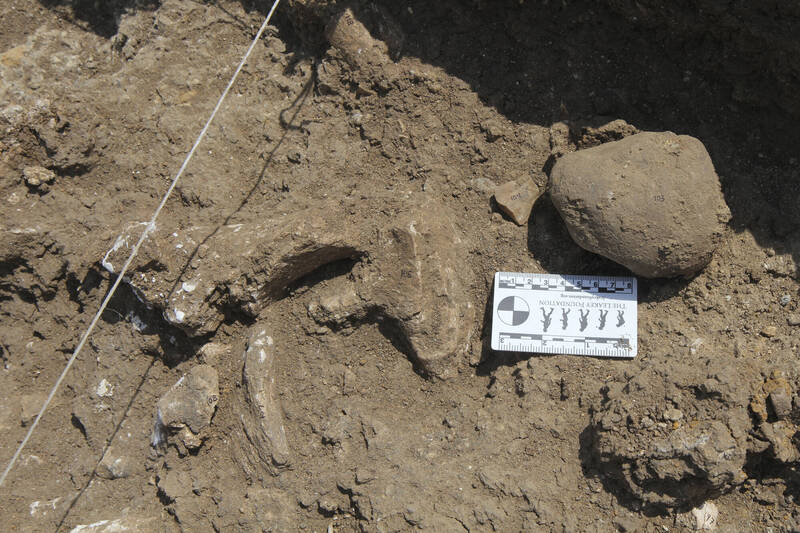 內楊加遺址的奧都萬石器發現地。（美聯社）