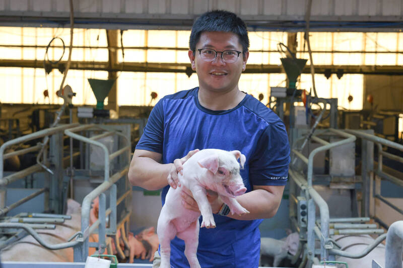 「豬二代」陳聖瑋導入國外科技 「精準養豬」擺脫「養豬工」宿命