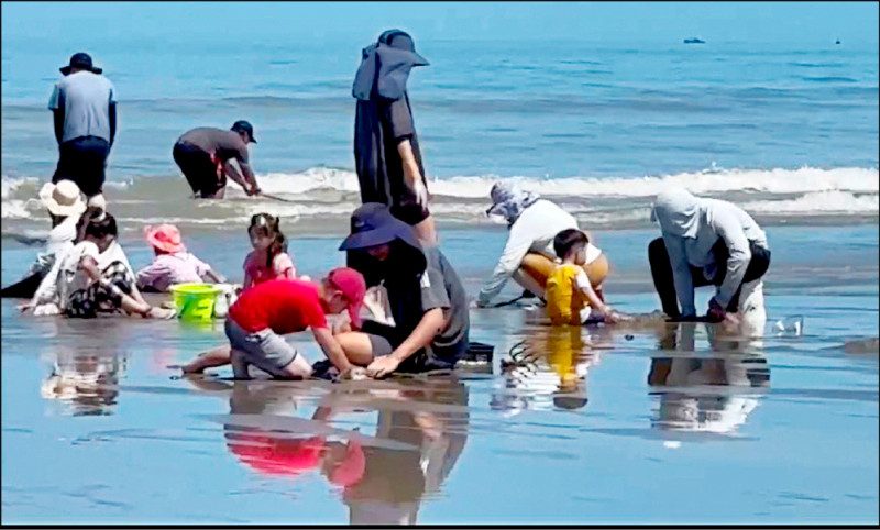布袋好美里海灘湧遊客 公廁像災後現場