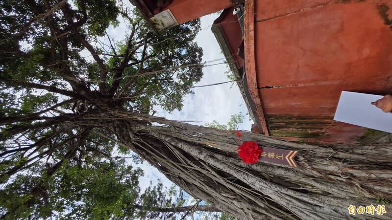 台南孔廟百年老榕也領畢業證書 教會與城隍爺合力送行