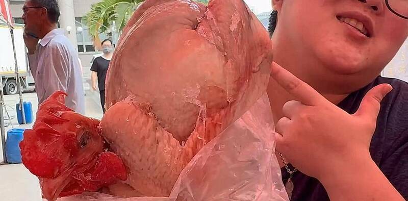 秒殺的彰化土雞特賣會4台斤只要350元又來了！（民眾提供）