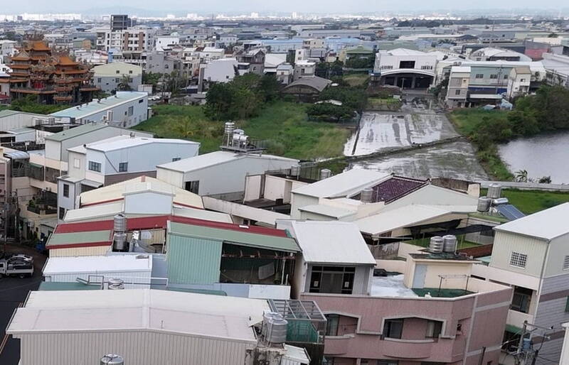 拆屋頂石綿瓦竄出1條蛇嚇壞屋主  怎爬上去專家這樣分析